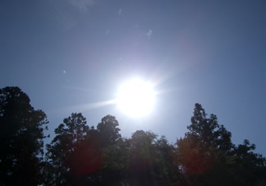 旧社地からの太陽