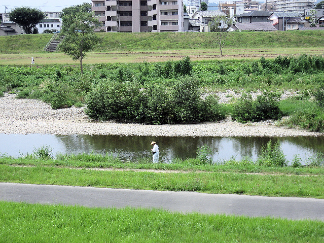 ひろせがわ