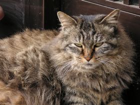 ブーちゃん 2006/02/23 その3