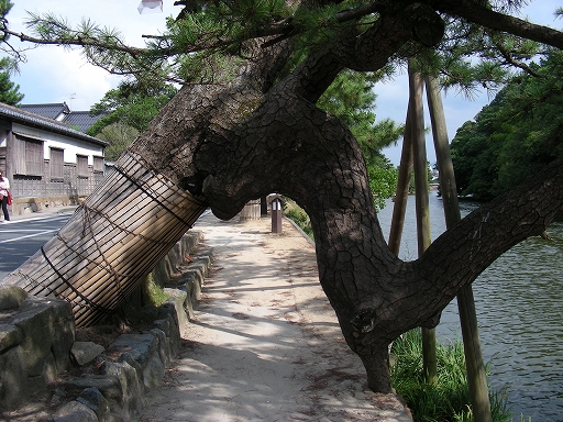 DSCN0580.jpg