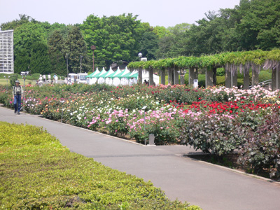 植物園-2