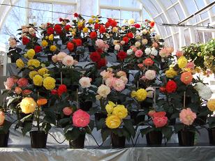 DSCF5509.JPG