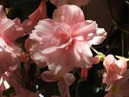 DSCF5505.JPG