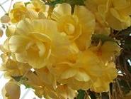 DSCF5507.JPG