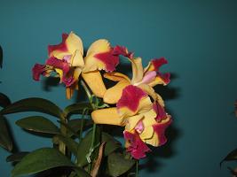 DSCF5862.JPG