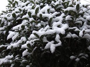 DSCF5684.JPG