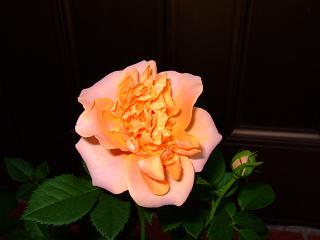 2005-08-29 17:18:25