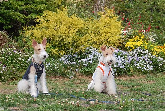 静岡帰省！？ 058.jpg