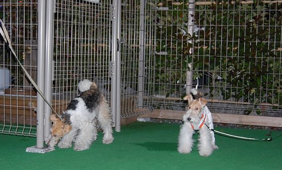 静岡帰省！？ 101.jpg