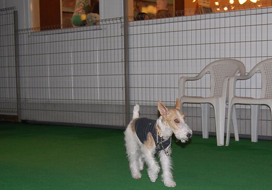 静岡帰省！？ 103.jpg