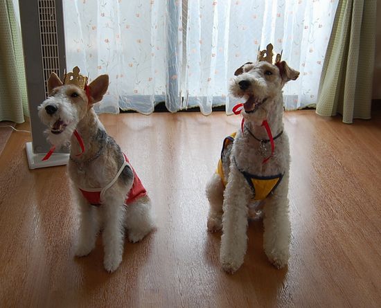 祝☆５歳ＢＤ 057.jpg