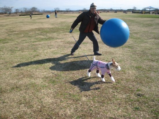 休日模様 553.jpg