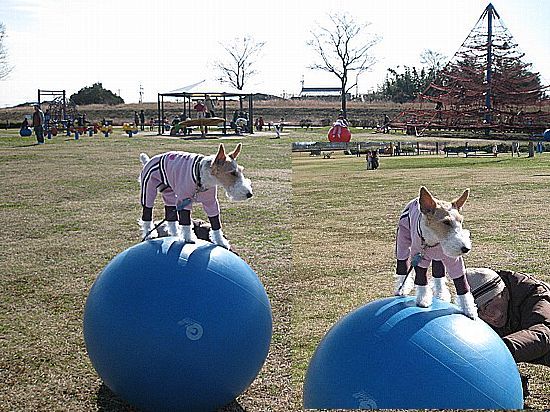 休日模様 563.jpg