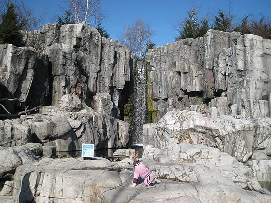 休日模様 576.jpg