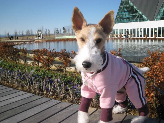 休日模様 581.jpg