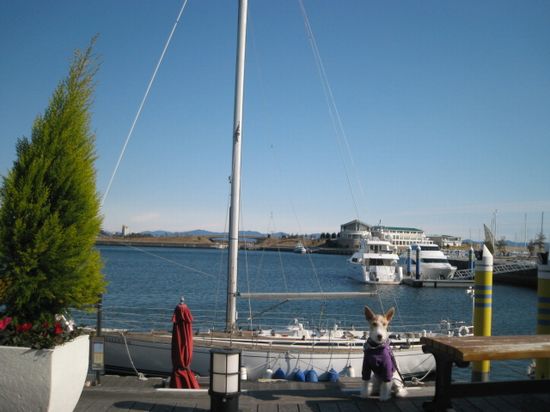 休日模様 530.jpg