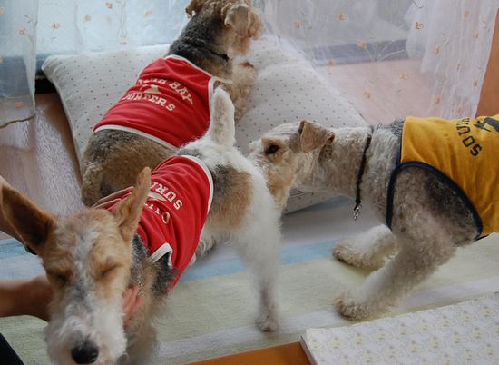 祝☆５歳ＢＤ 119.jpg