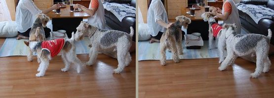 祝☆５歳ＢＤ 019.jpg