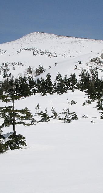 秋田 乳頭山 9ｃｍ.JPG