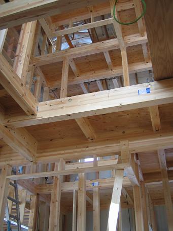 マイホーム Ｍ家9.JPG