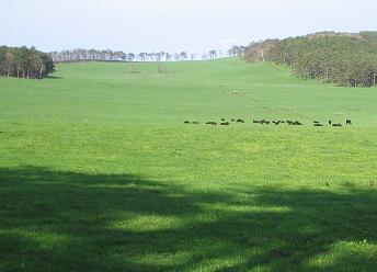 岩手山　2010 5 16　2.JPG