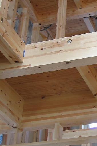 マイホーム Ｍ家15.JPG