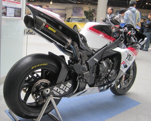 IMG_0510 (500x401).jpg