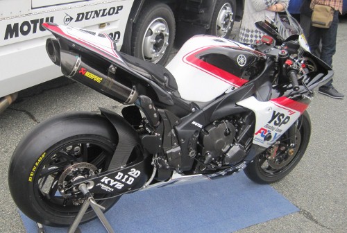 IMG_0666 (500x336).jpg