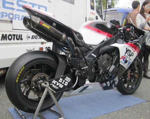 IMG_0667 (500x398).jpg