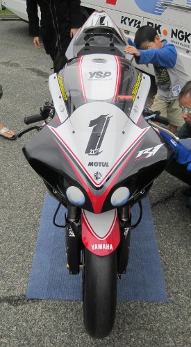 IMG_0668 (275x500).jpg