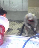 DSC00201.jpg