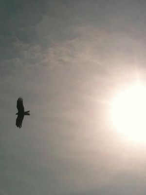 s-IMG_0225.jpg