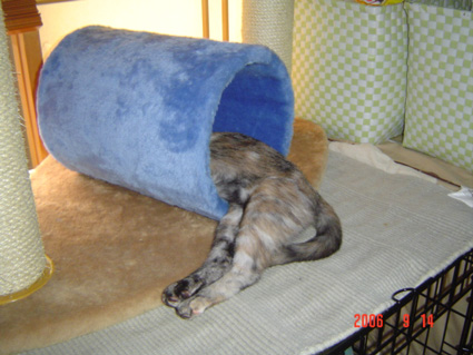 DSC04878.jpg