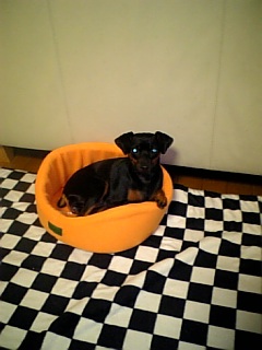 061017_185226.jpg
