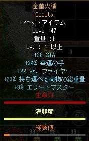 ﾁﾞﾝﾎｱ47ﾚﾍﾞ.JPG