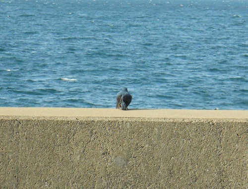 s-012 - コピー.jpg