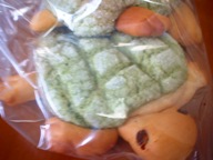 みなみカメパン