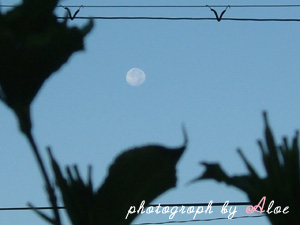 moon