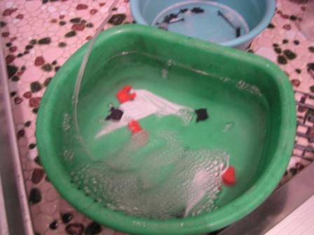 洗う・・・洗うエンドレス２