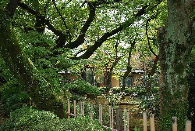 豪徳寺07-s.jpg