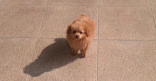 貴重なカメラ目線