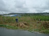 DSCF1516.JPG