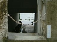DSCF1505.JPG