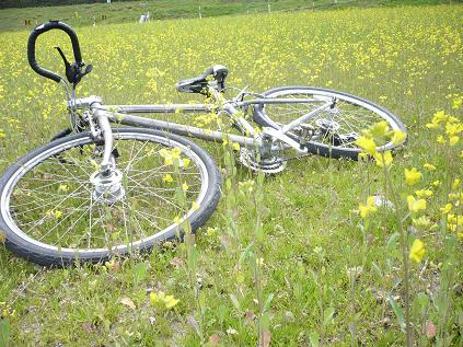 お花と自転車