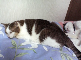 あんまりみないでね