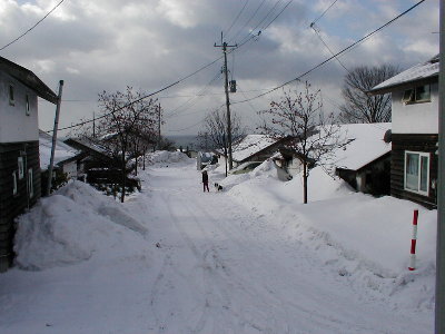 P1010026_2.jpg