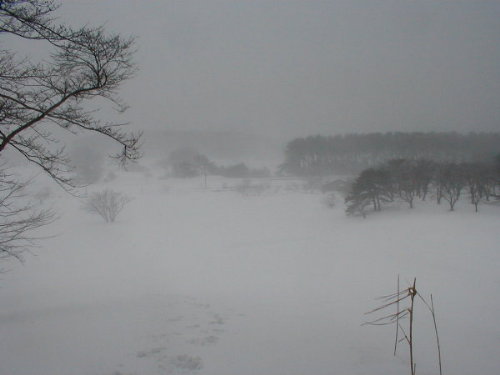 吹雪の山村広場