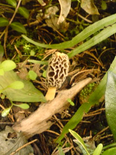 モリーユ三年目・２