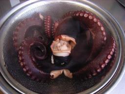 たこの茹で上がり