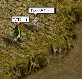 魚.jpg